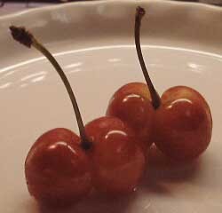 cherry2.jpg
