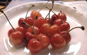 cherrys.jpg